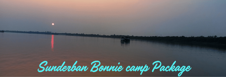 Sunderban Bonnie camp Package.