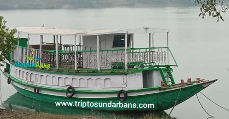 sundarban boat booking